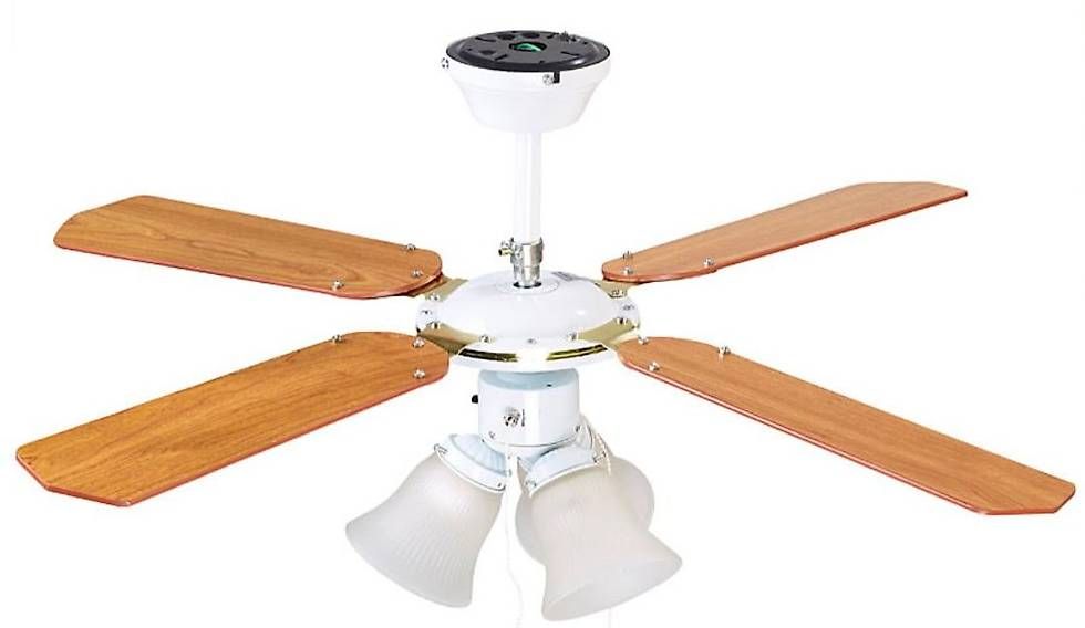 Ventilatori: ventilateur avec luminaire – Usato da Cheseaux-sur-Lausanne venduto da riopacha 1