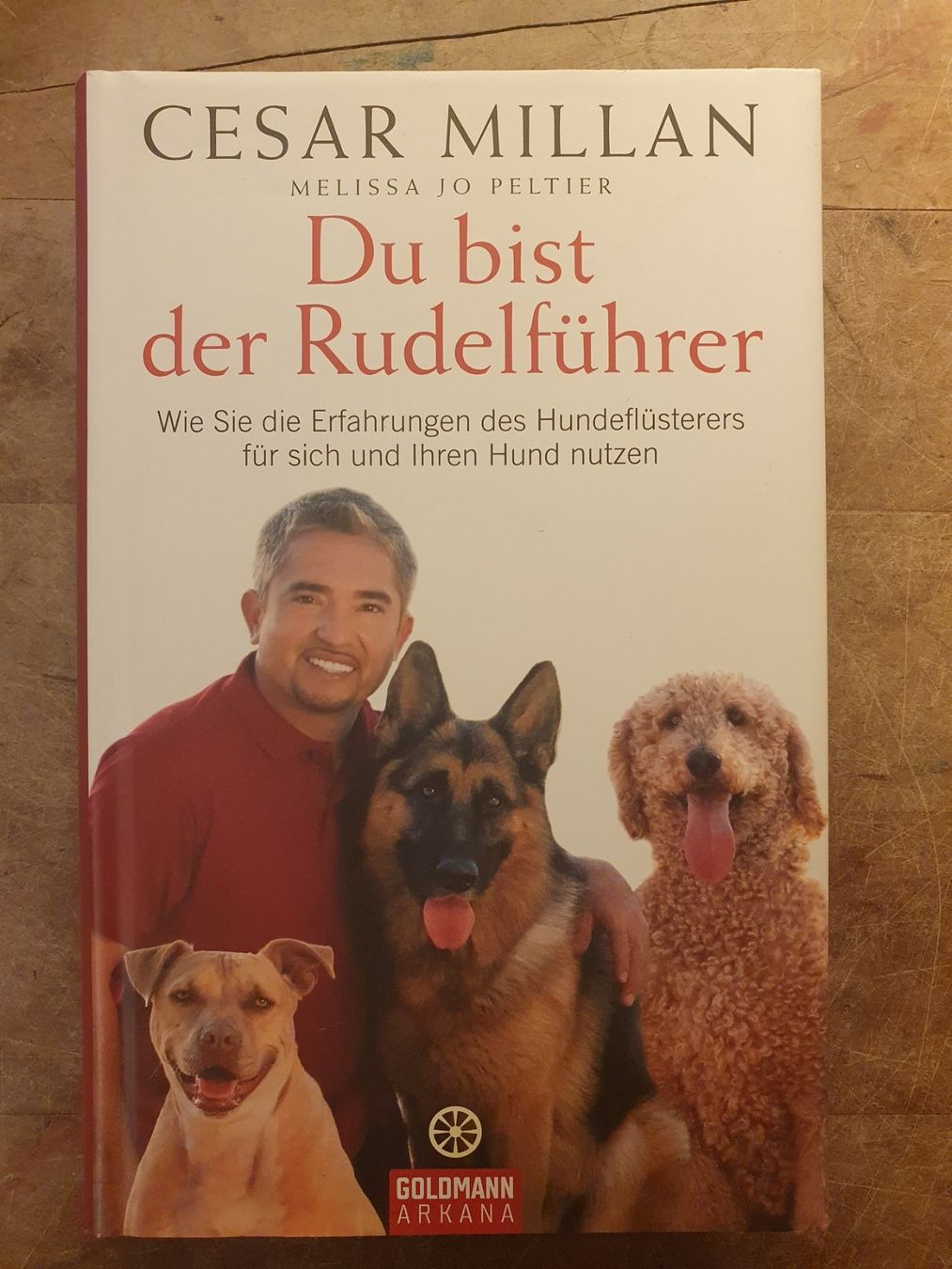 Libri: Du bist der Rudelführer - Cesar Millan – Usato da Zürich venduto da dialout