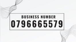 PrePaid Premium Handynummer (Platin)