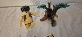 LEGO Harry Potter 75967 Verbotener Wald, guter Zustand