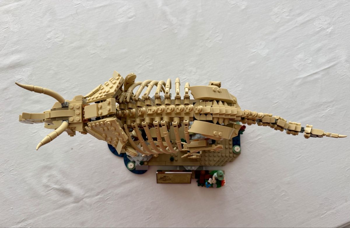 Lego Kit di costruzioni: Lego Dinosaurier – Usato da Einsiedeln venduto da ironlady3 5