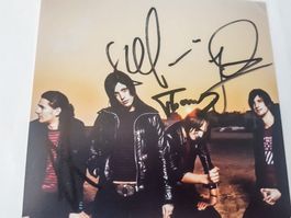 Silbermond - Autogramm auf Foto