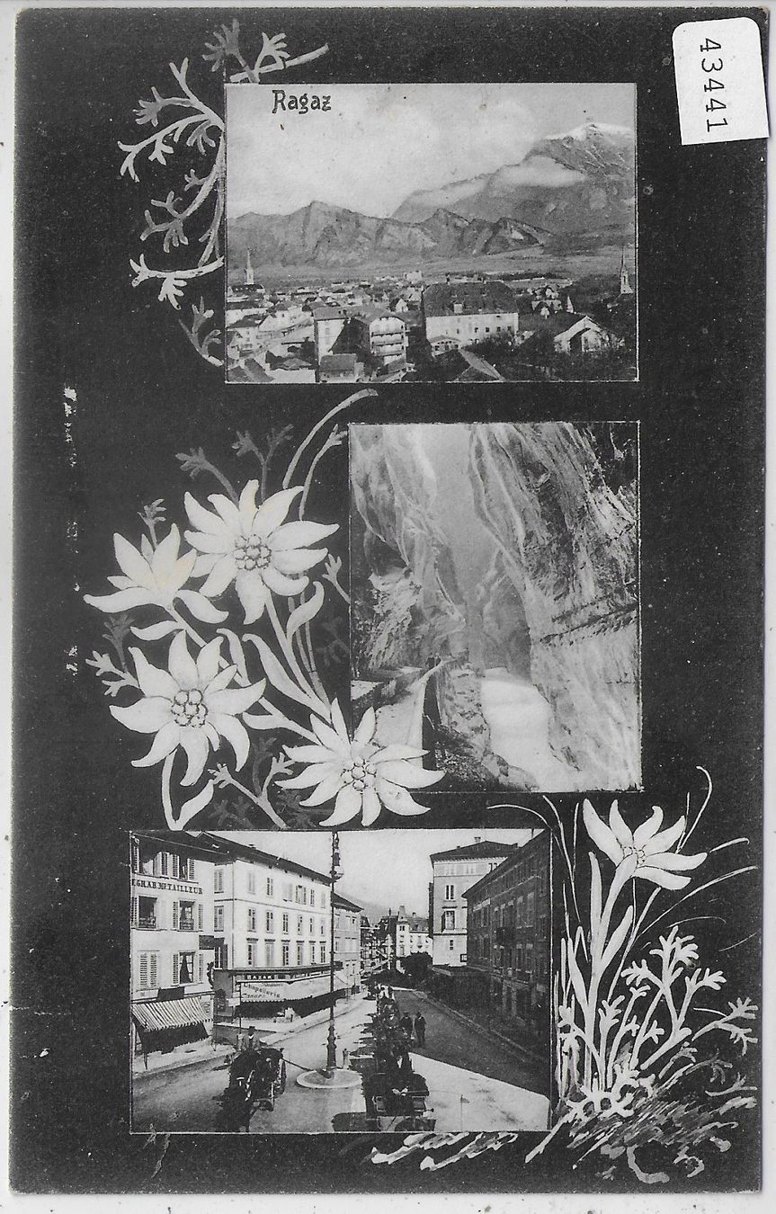Cartoline postali: Ragaz - Edelweiss-Karte – Usato da Ettingen venduto da Kartenplanet