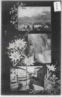 Ragaz - Edelweiss-Karte