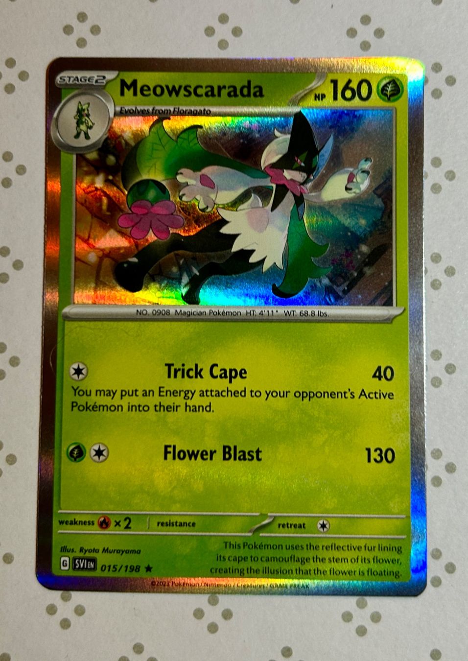Pokémon Carte collezionabili: Pokémon, Katzen & Mäuse Bundle | 6 Karten | Gratisversand – Nuovo (secondo la descrizione) da Gelterkinden venduto da pikapikachu 1