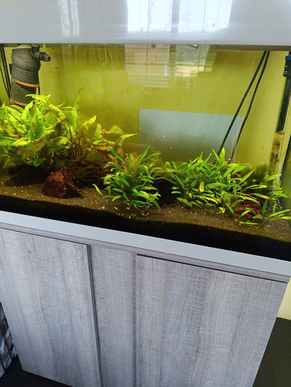 Juwel Aquarium: Fisch-Aquarium EHEIM Juvel 126 lit. – Gebraucht aus Thundorf von Blitz_Donner