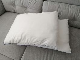 Two White Pillows 50x60cm – Clean, Washable