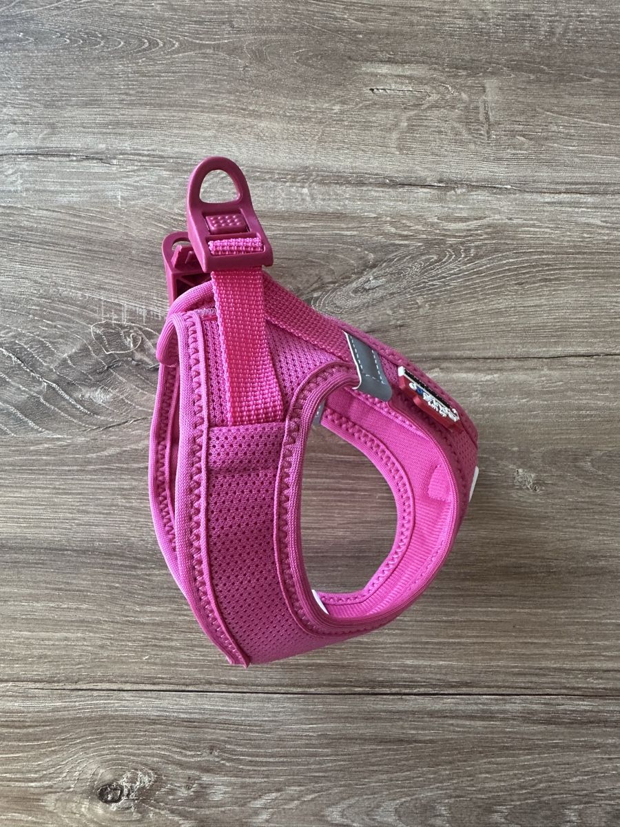 Collier et laisse: Hundegeschirr in 3xs – Neuf (Voir description) à Bülach par Nanuk123