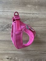 Hundegeschirr in 3xs