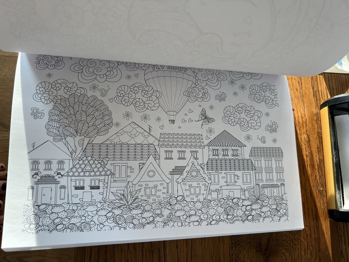 Libri: Colouring Book/Malbuch: 111 Mandala – Nuovo (secondo la descrizione) da Schenkon venduto da NCB77 1