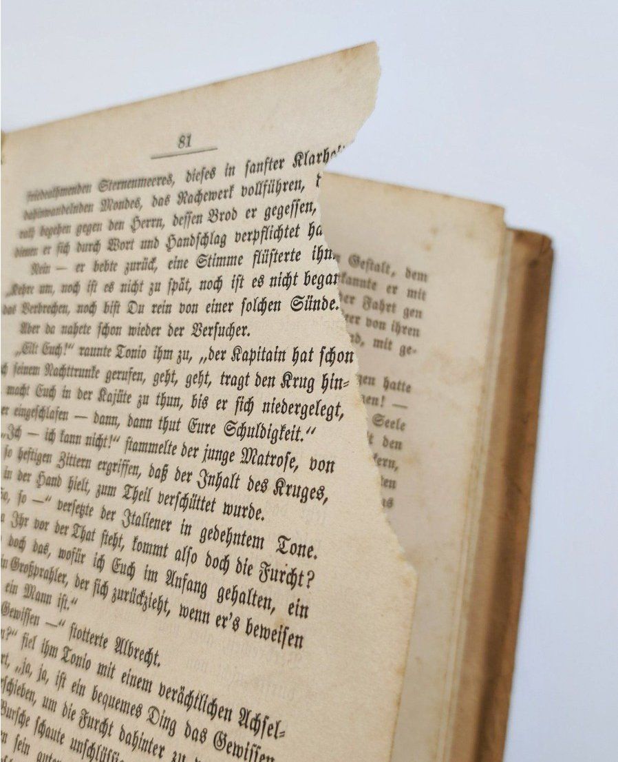 Libri: KINDER- UND JUGENDLITERATUR – Usato da Goldach venduto da Gaip 6