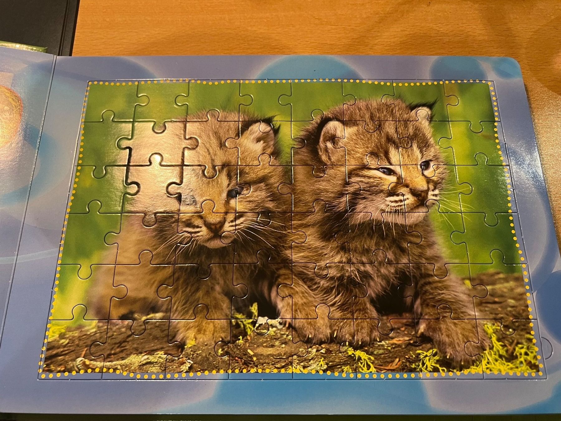 Libri: kinderbücher/6 Tierpuzzle diverse – Usato da subingen venduto da gibo11 5