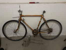 Peugeot für Bastler:innen