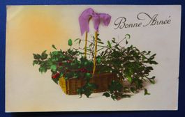 Vintage Postkarte "Bonne Année" Frankreich, Mistelzweige