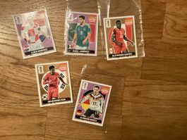 Panini Extra Sticker