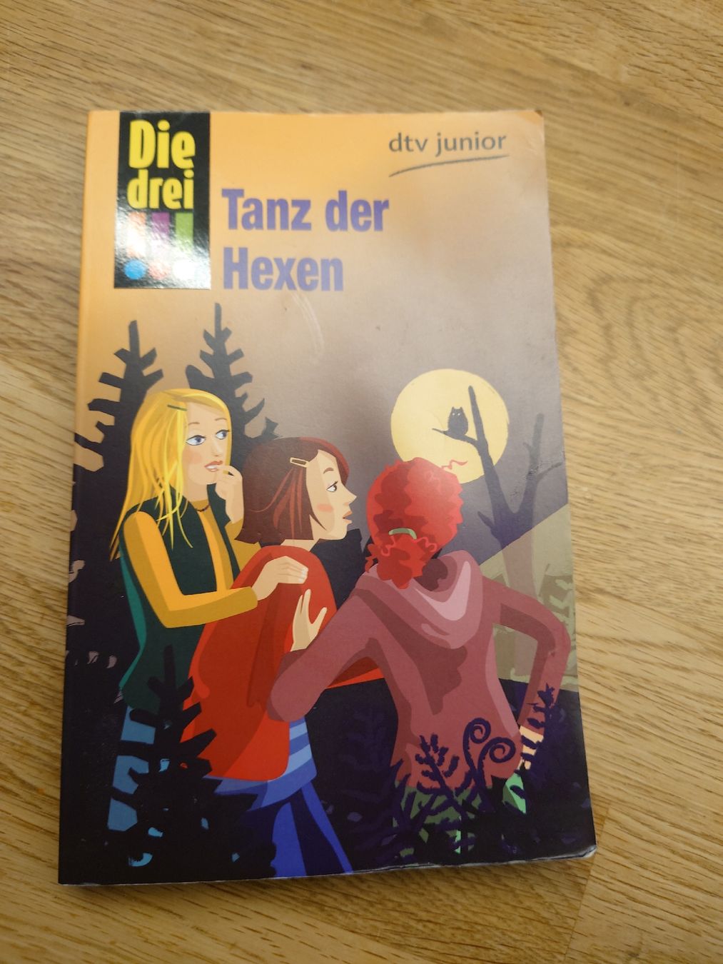 Libri: Die drei!!! 3 Bücher – Usato da Wittenbach venduto da Maxder 2