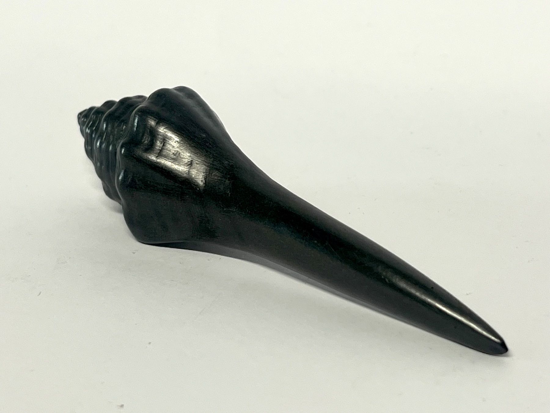 Fossili: BATLE STUDIO Small Shell Graphit-Schreibskulptur OVP – Usato da Zürich venduto da Arche_Brockenhaus 1