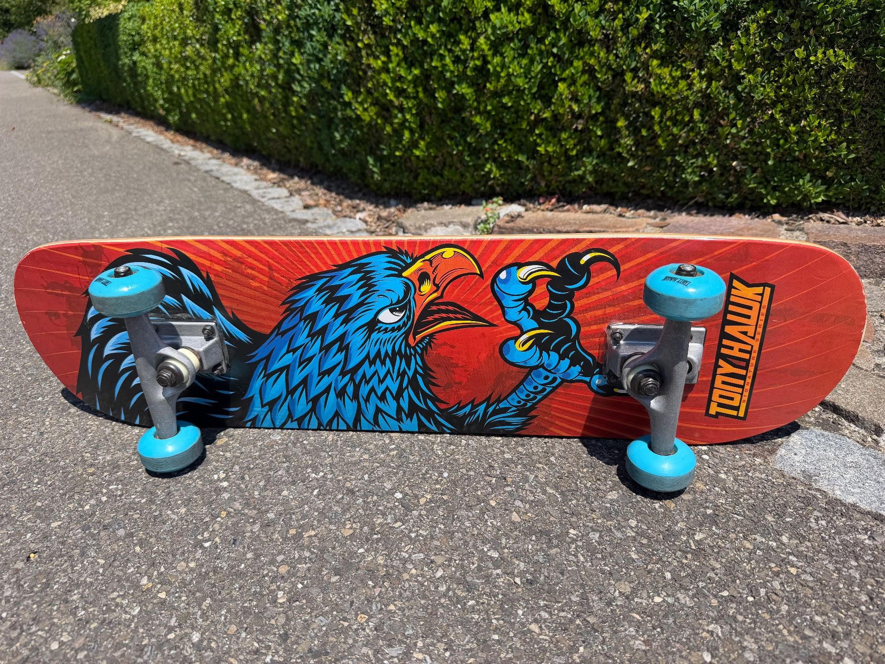Skateboards: SS Complete Skateboard  Tony Hawk – D'occasion à Schaffhausen par matre1 4