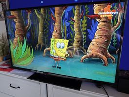 Telefunken 43 Zoll TV
