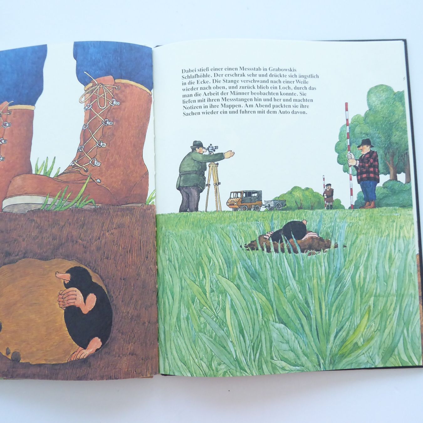Libri: Der Maulwurf Grabowski – Usato da Basel venduto da Kunterbunt12 3