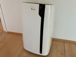 DeLonghi Pinguino PAC EX100 Silent