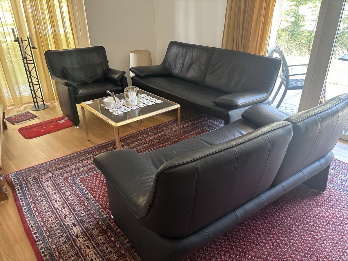 Sofas: Ledersofa 3er, 2er und Sessel – Gebraucht aus Winterthur von Pescheweber 1