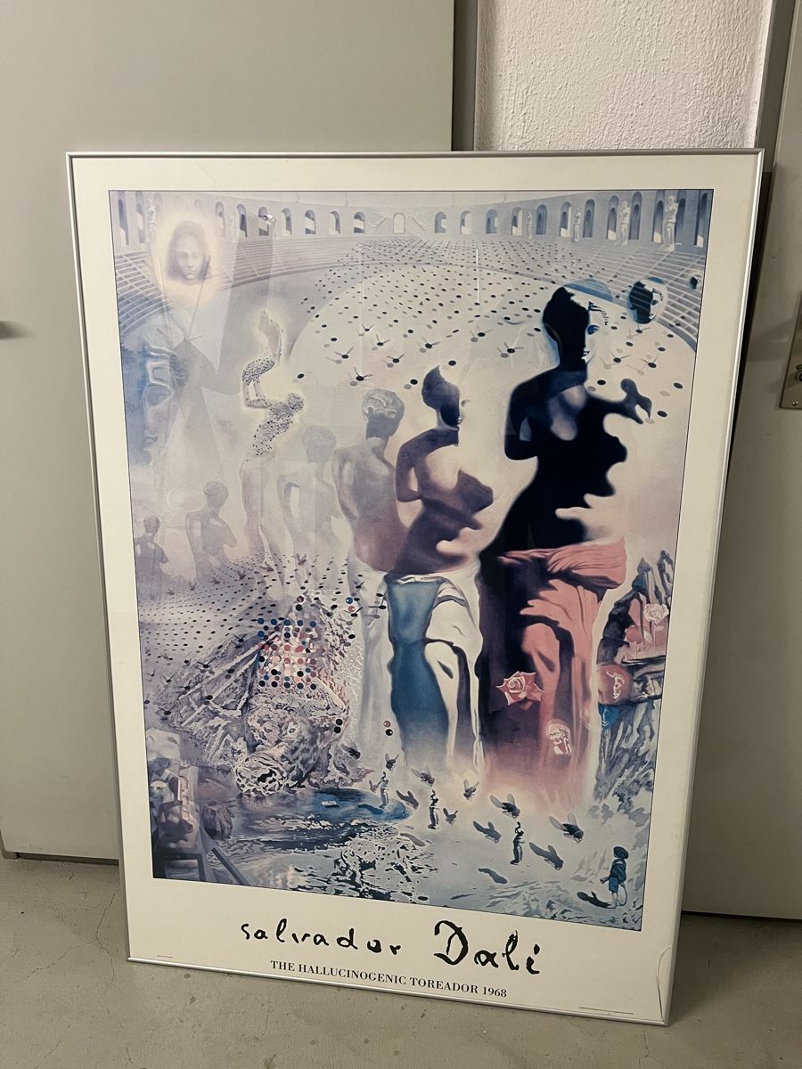 Poster & Bilder: Dali riesengross im Rahmen – Gebraucht aus Affoltern am Albis von Partyfruit