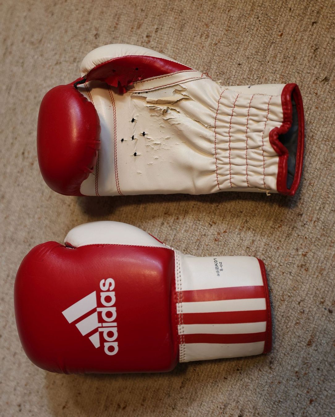 Boxsäcke: Boxsack 25kg, inkl. 3x Boxhandschuhe – Gebraucht aus Egnach von hb_b 2