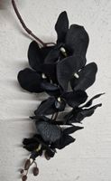 Schwarze Kunst Orchidee, Deko Blume, 80cm lang, wie echt!
