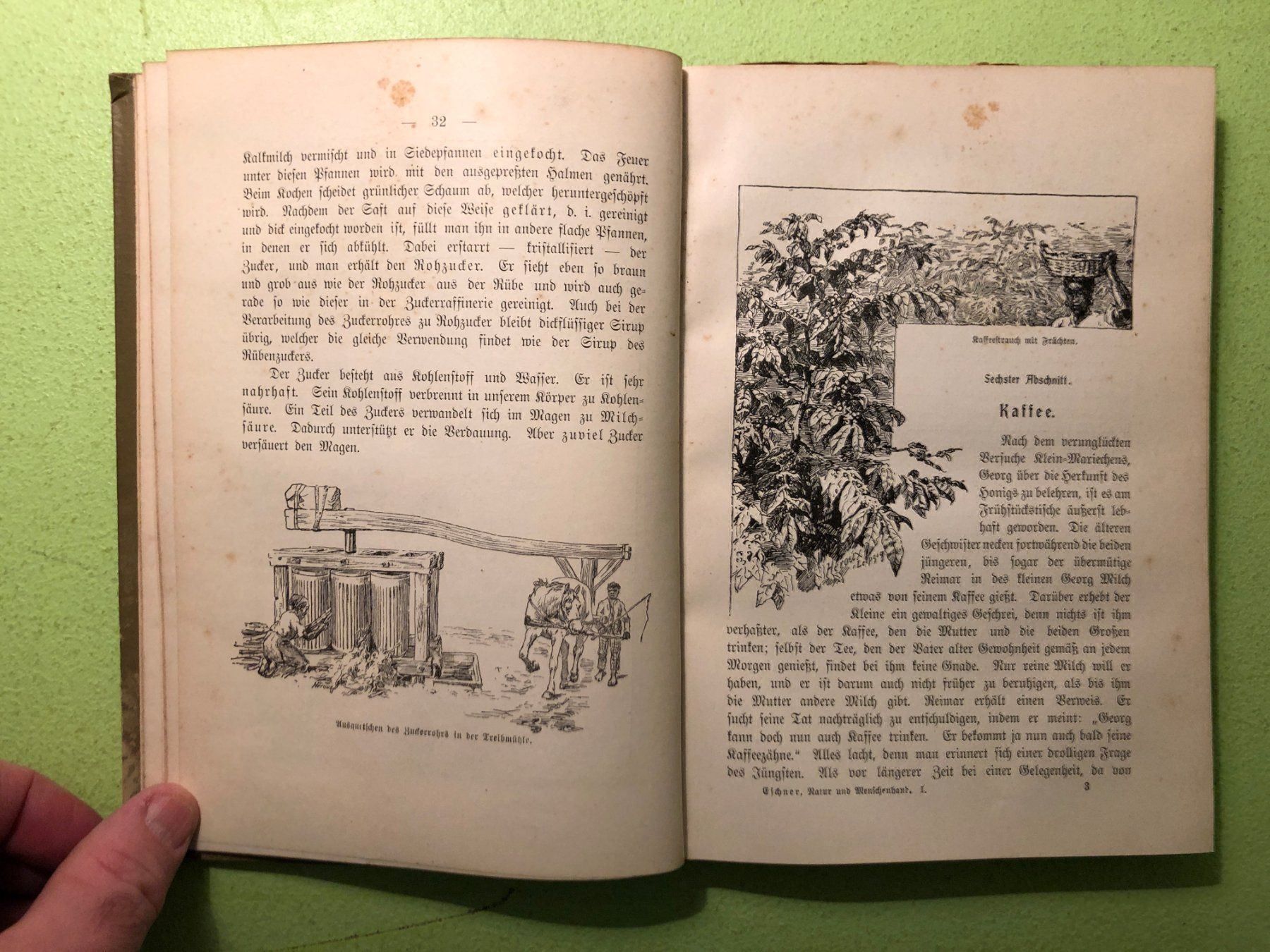 Libri: Max Eschner: Natur und Menschenhand – Usato da Zürich venduto da allp 4