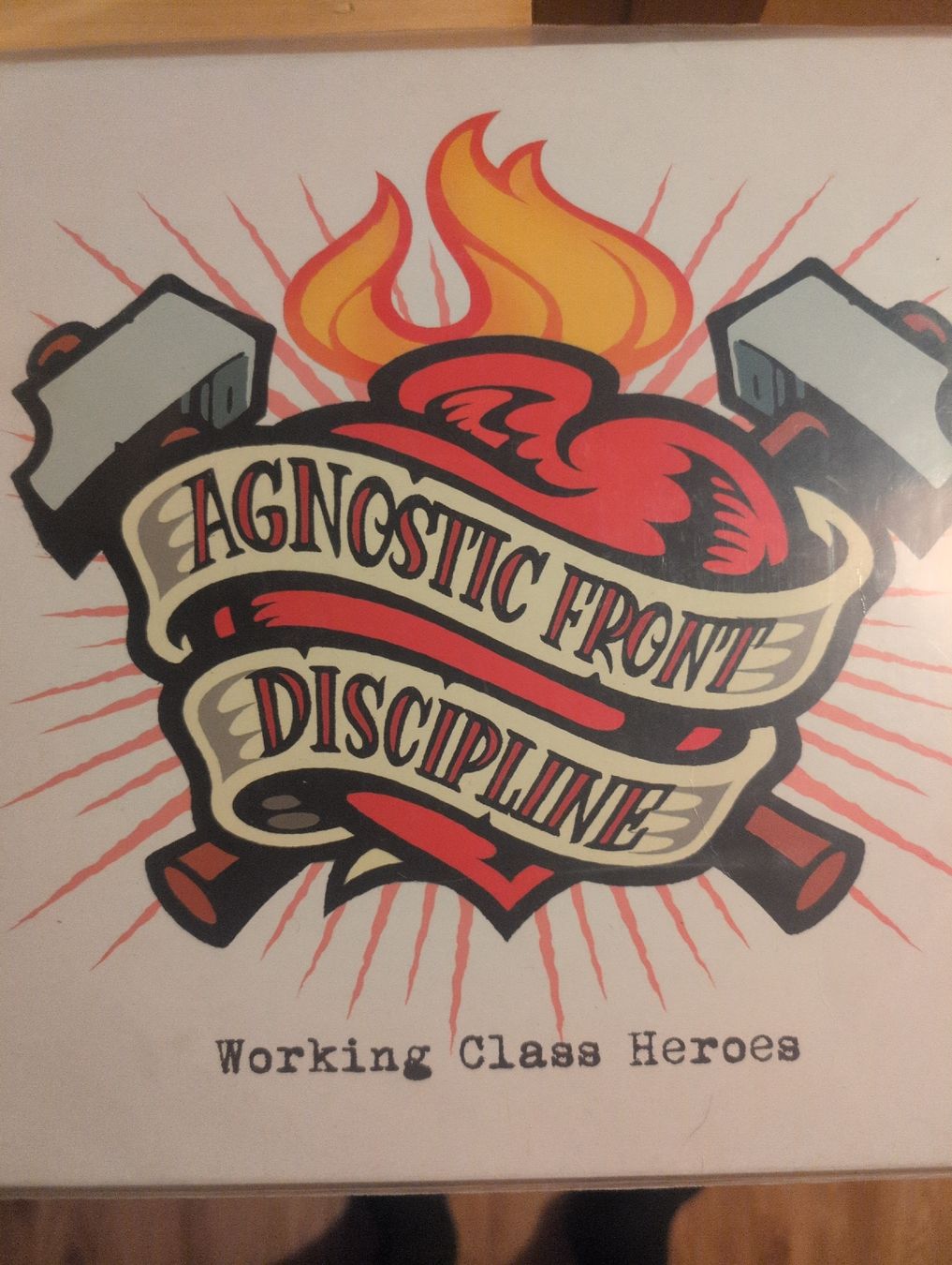 Dischi in vinile: Acnostic Front / DISCIPLINE doppel LP – Usato da Wynau venduto da rem_5tpw