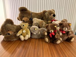Lot aus 9 Steiff-Teddybären