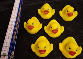 6 x Quietscheentchen, Badeenten, Gummienten, Top Zustand!