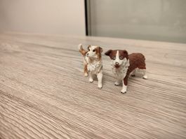 Schleich Hunde Australian Shepherd Hund Haustier Rarität