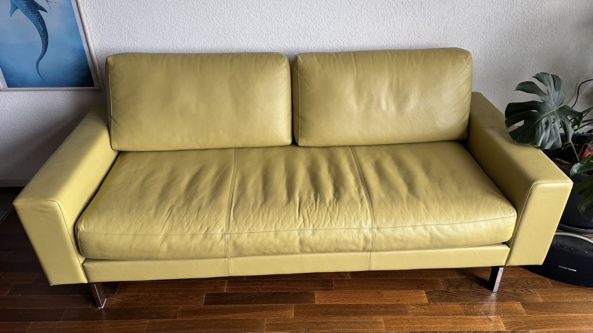Divani: Sofa Rolf Benz – Usato da Boll venduto da pfar 1
