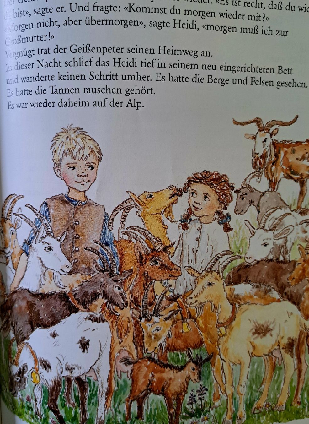 Libri: drei Heidi Bilderbücher – Usato da bazenheid venduto da salerno007 4