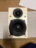 Lautsprecher Audio Pro EVO 10DC weiss guter Zustand