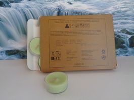 12 Teelichter Frische Clementine ODER Perfect Pet