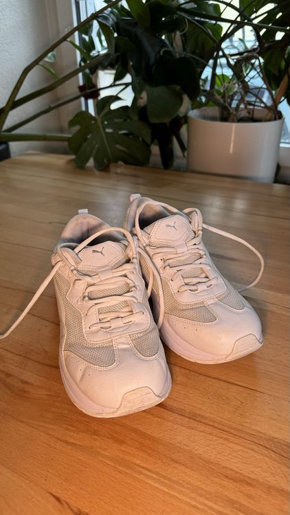 Puma Schuhe 41 | Kaufen auf Ricardo