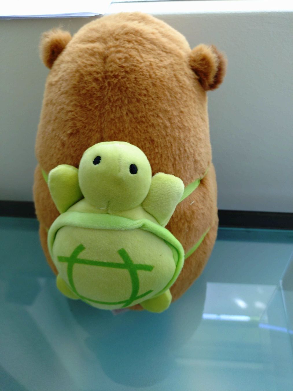 Giocattoli: Capybara plüschtier mit Schildkröten Rucksack 22 cm – Usato da Bottmingen venduto da Pidi0 2