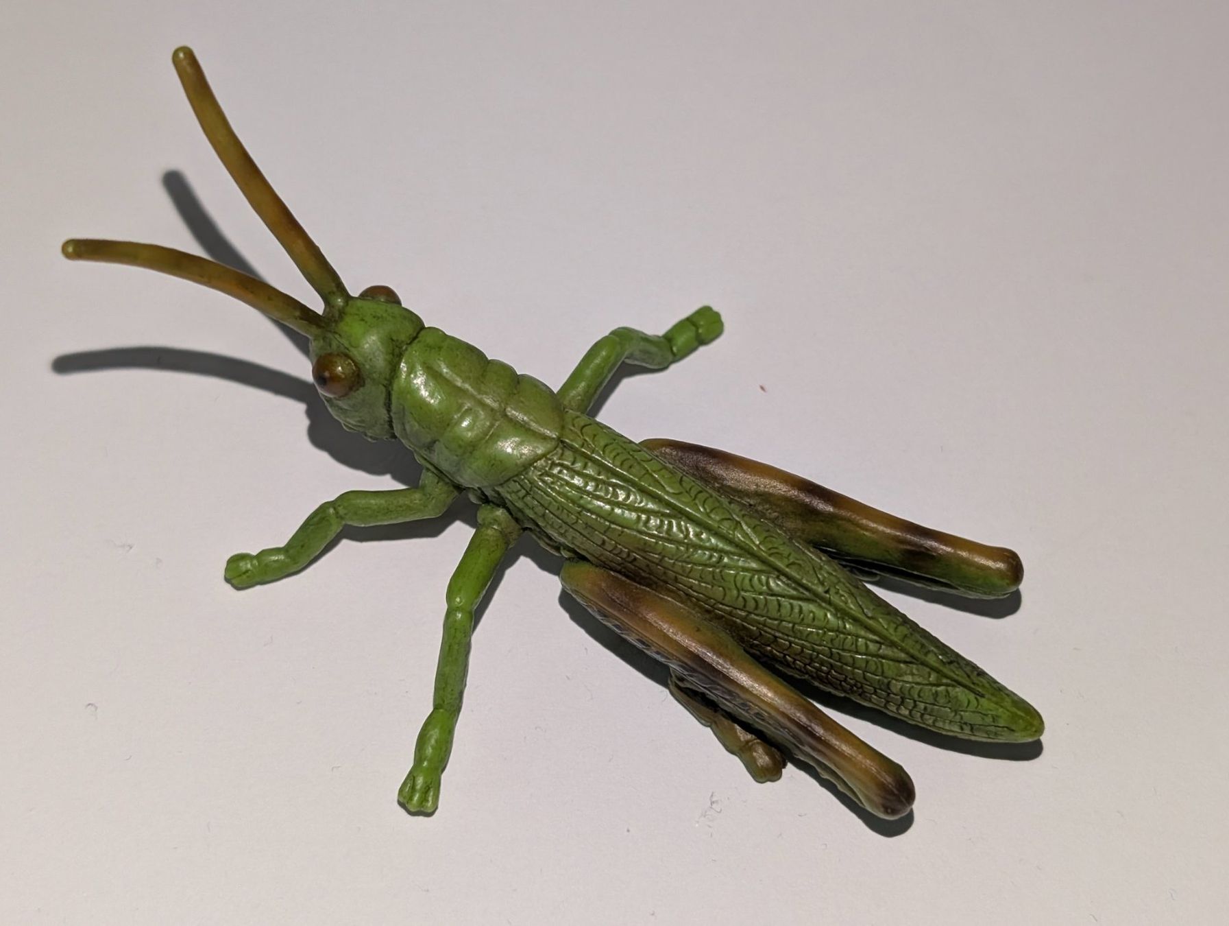 Statuette: 10er-Set Insektenfiguren – Usato da Weite venduto da Nur63 5