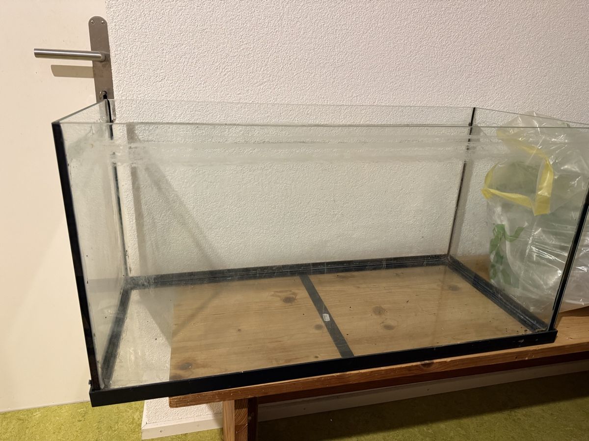Aquarium: Aquarium 100l – Gebraucht aus Zollikofen von ko67 1