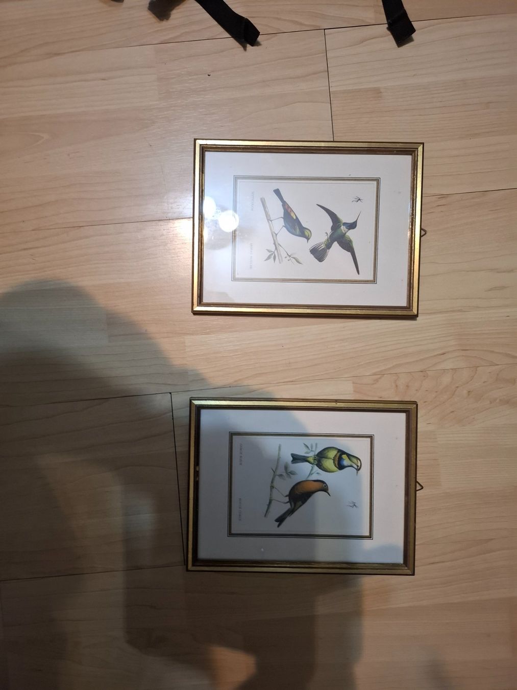Gravures: Stich – D'occasion à Oberwil BL par Giwa