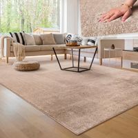 ❌ -50% ❌ Teppich Wohnzimmer riesig! 240x340 BEIGE