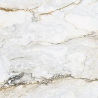 Pisa Wand & Bodenfliese 120x120 cm Neu...