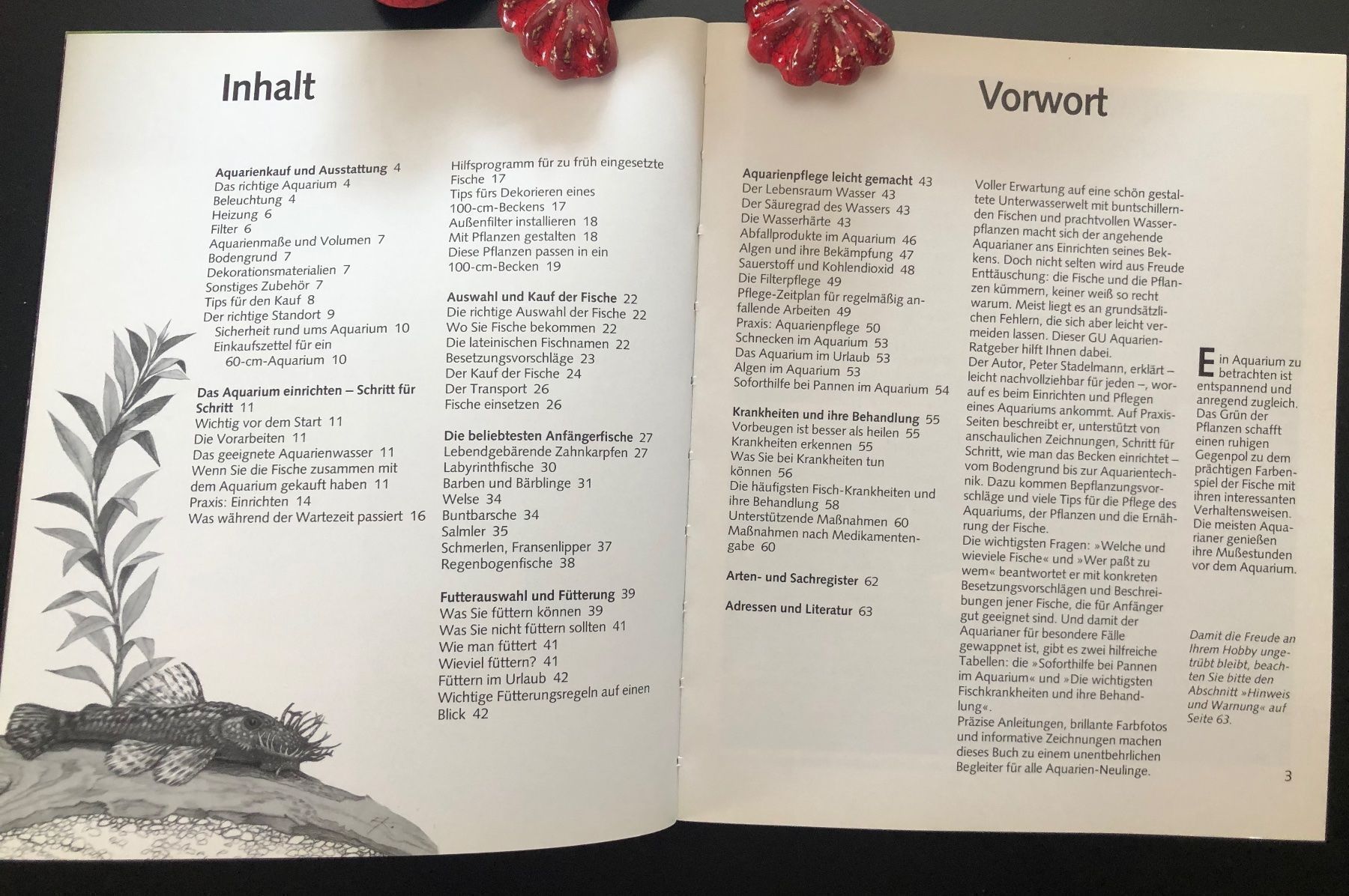 Bücher: Das Aquarium / GU RATGEBER – Gebraucht aus Nussbaumen AG von schuba2000 3