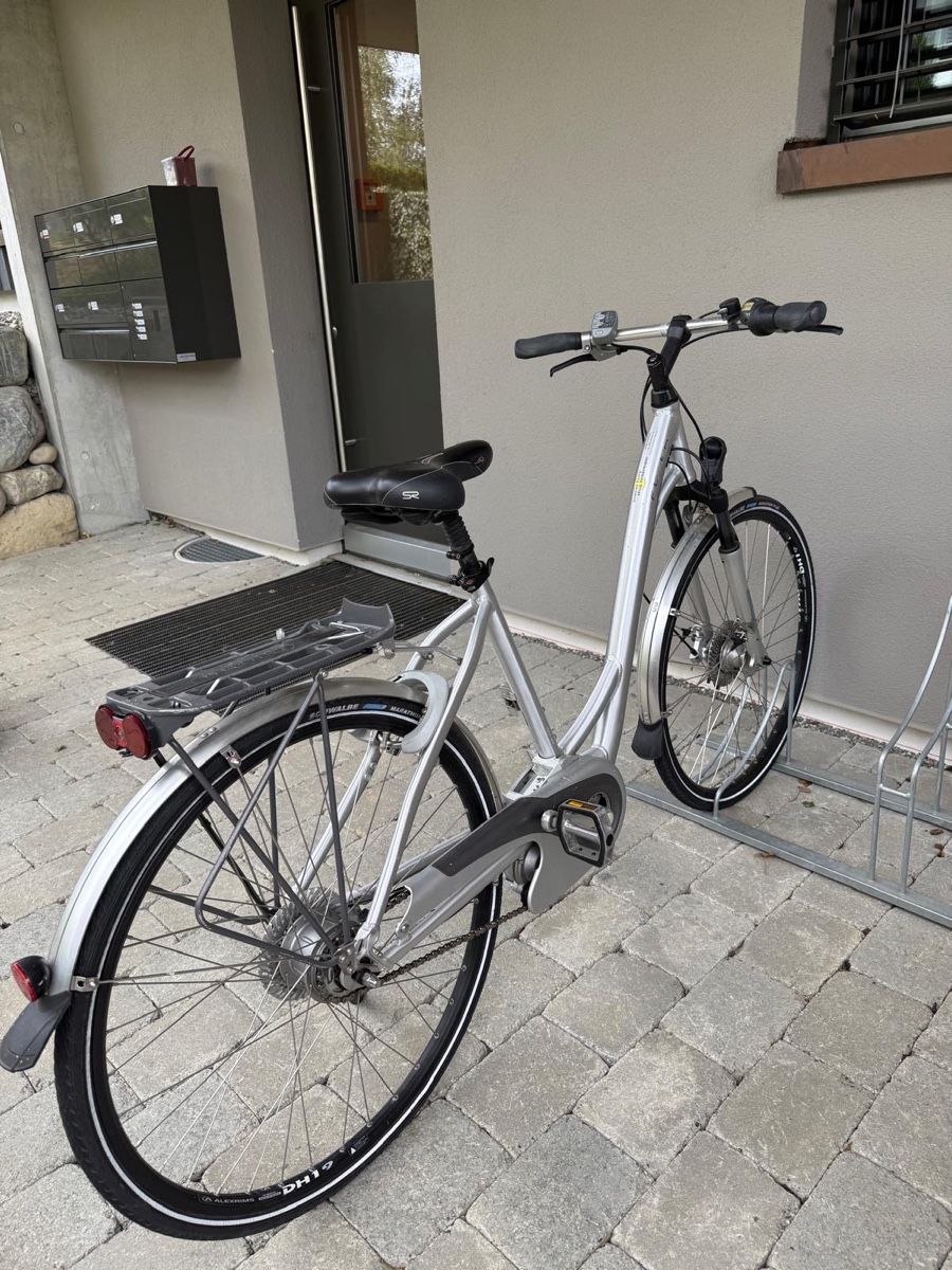 Biciclette: Ich verkaufe mein E-Bike – Usato da Hochfelden venduto da km_52