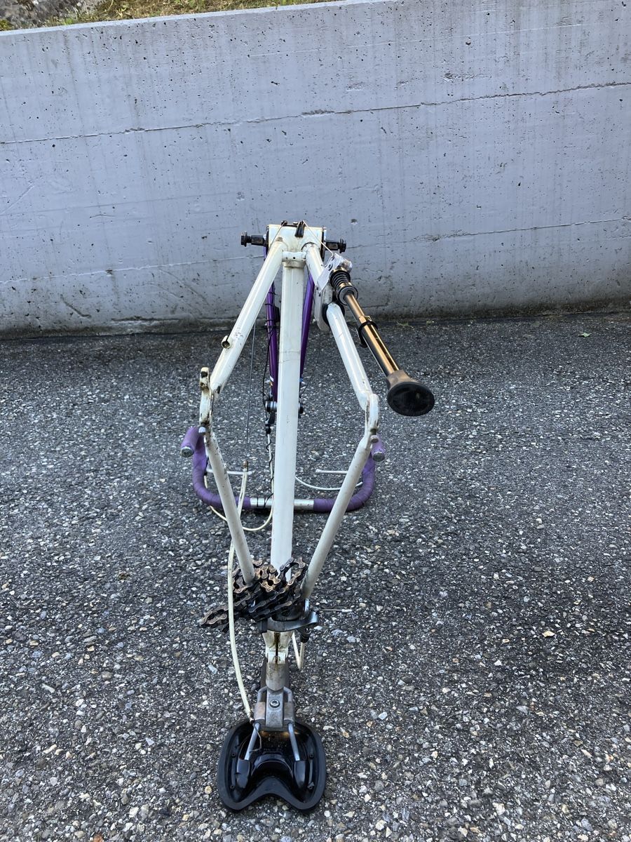 Giant Pezzi di ricambio: Rennvelo Rahmen Giant Peloton Lite – Difettoso da Reigoldswil venduto da GNVeluxboost 1