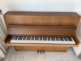 Eckenstein Basel Klavier