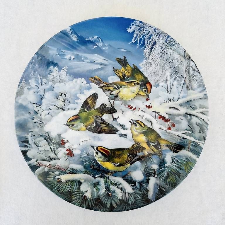 Teller: 4 assiettes décoratives Birds in Winter  – Gebraucht aus Collombey von qua_lb8f 1